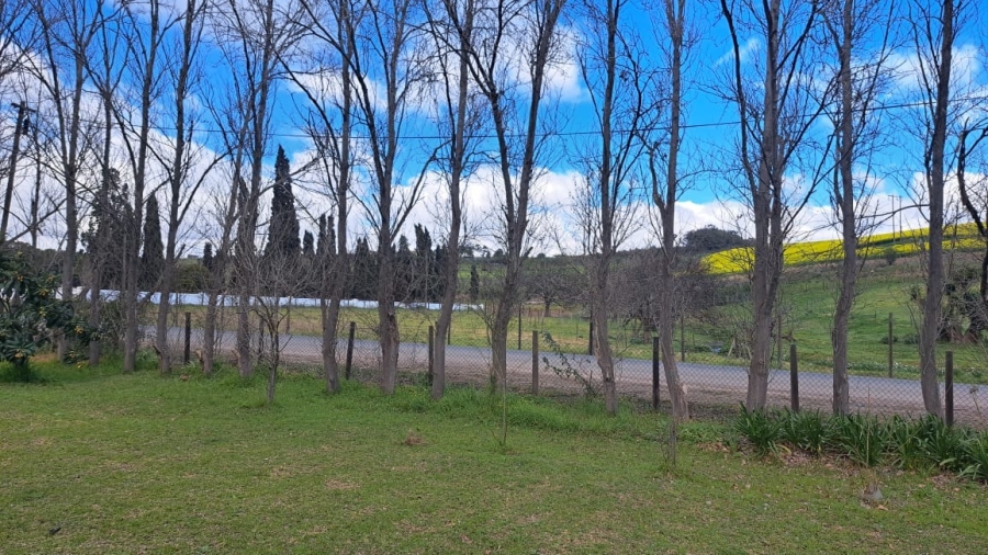 3 Bedroom Property for Sale in Caledon Western Cape